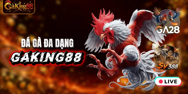 3 hình thức đá gà nổi bật tại GAKING88