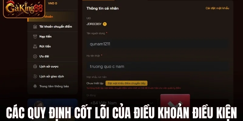 điều khoản điều kiện