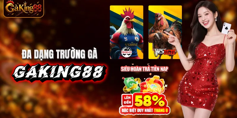 Các trường gà Thomo Campuchia nổi bật