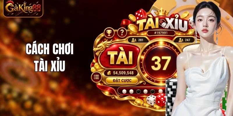 Cách Chơi Tài Xỉu