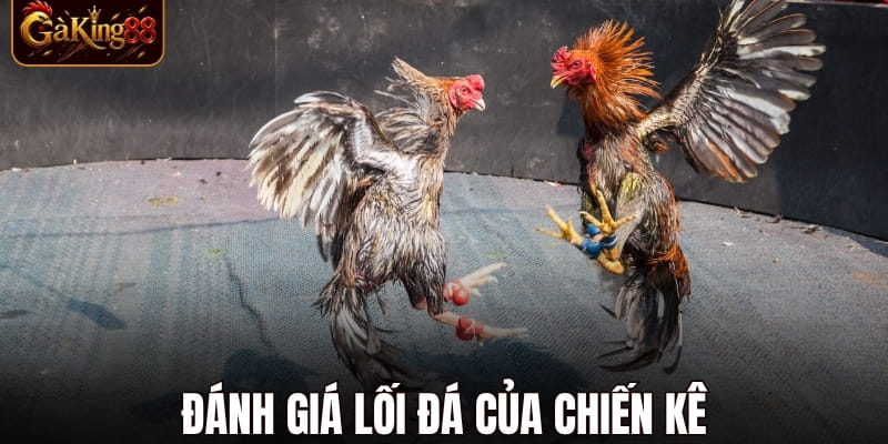 Đá Gà Cựa Dao