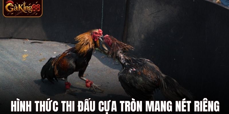 Trường Gà Tonhon