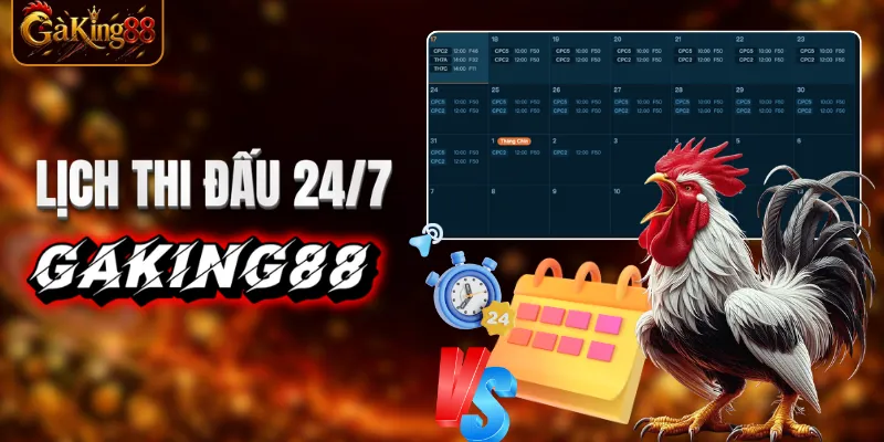 Lịch thi đấu gà chọi 24/7