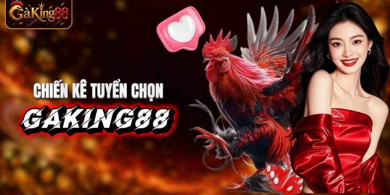 Quy trình tuyển chọn chiến kê kỹ lưỡng