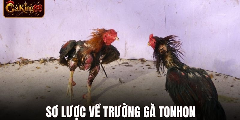 Trường Gà Tonhon
